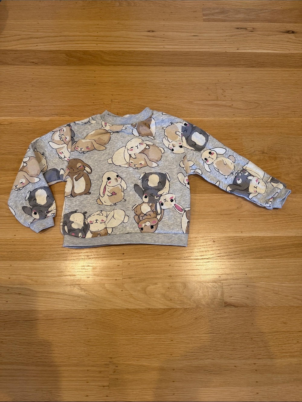 H&M Gray Kids Sweatshirt with Bunny and Puppy All-Over Print